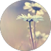 unnamed.png